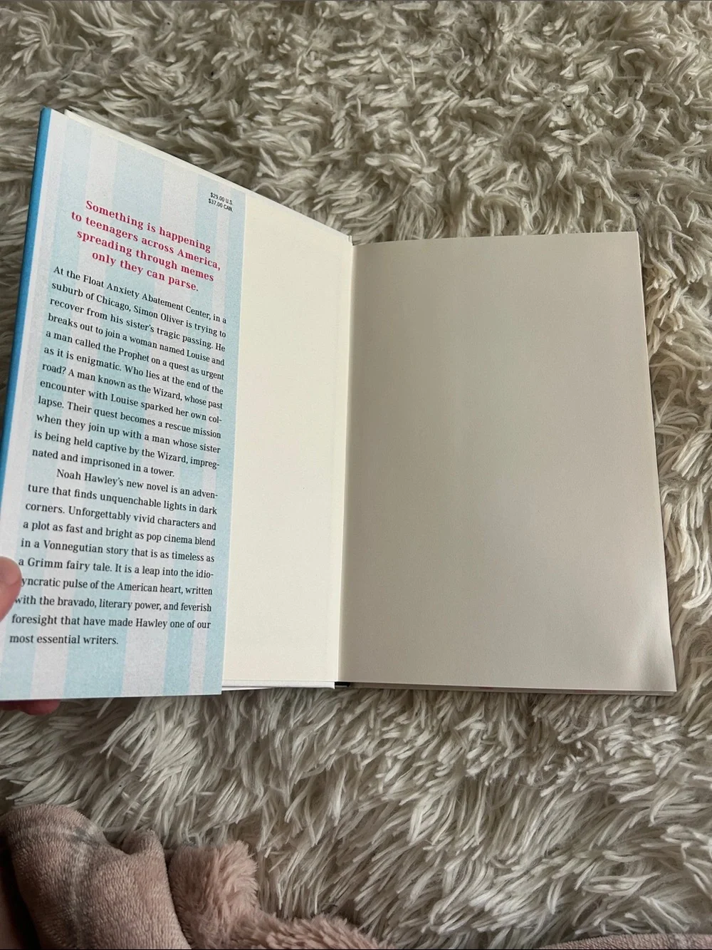 Anthem, a novel: by Noah Hawley — Red & Blue Striped Hardcover - Picture 5 of 6